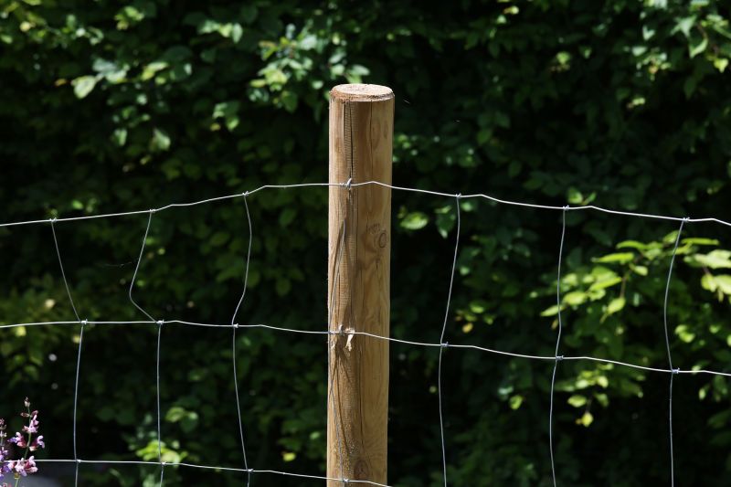 Wire Fence Replacement detail